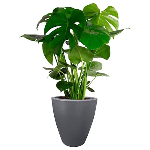 Elly Decor 17 inch Planter (Light Grey)