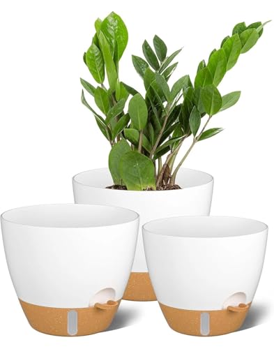 ZMTECH 3-Pack Selfwatering (White)