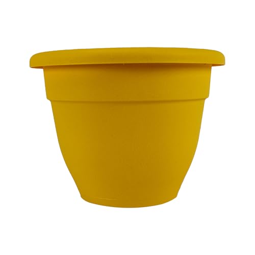 HC Companies Caribbean Planter Pot (20")