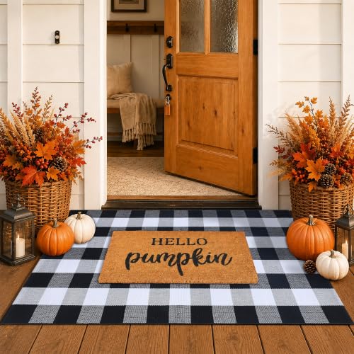 Fall Decor Doormat Combo Set, 100% Coco Coir Welcome Mat + 3' x 5' Black and White Plaid Rug - Fall Thanksgiving Front Porch Entryway Decor Floor Mat, Indoor Outdoors Autumn Mats Hello Pumpkin