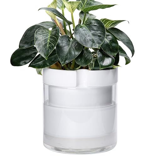 Phoenix Vine 10 Inch Self Watering Planter, White Terracotta Clay Pot with Glass Reservoir for Indoor Plants, Herbs, Flowers, Set of 1, 52-B-I-1