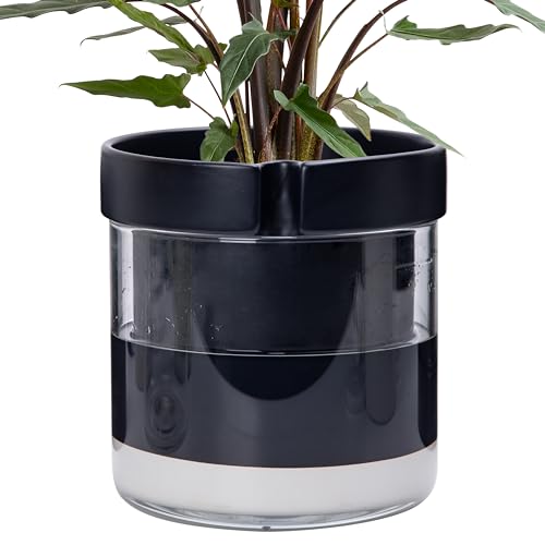 Phoenix Vine 8 Inch Self Watering Terracotta Planter, Black Terracotta Clay Pot with Glass Reservoir for Indoor Plants, Herbs, Flowers, Set of 1, 52-C-H-1