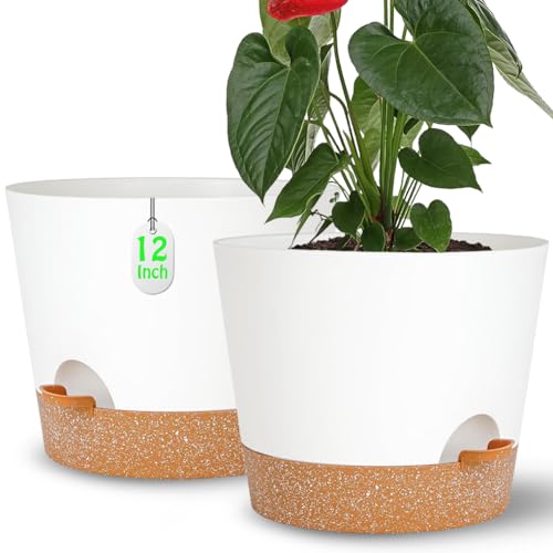 SE SUN-E 12+12Inch Self Watering Set