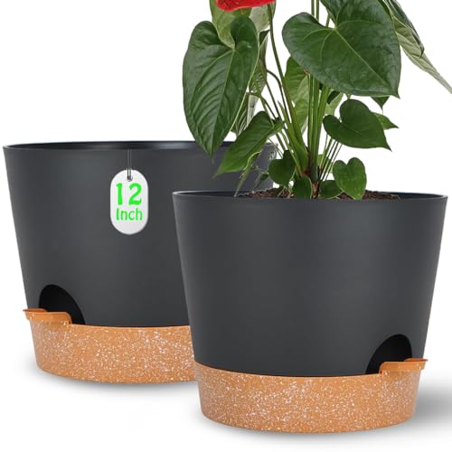 SE SUN-E 12in Self Watering (2-Pack)