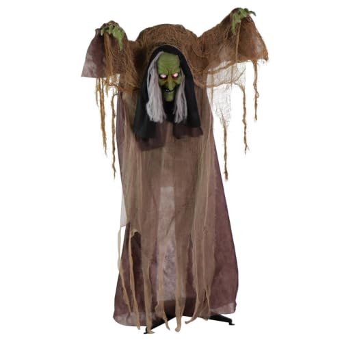 Talking Hunchback Witch