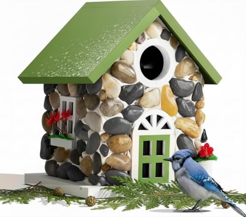 Masterpiece Bluebird House for Outside