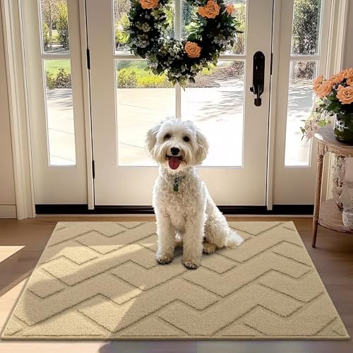 hicorfe 32x40 Absorbent Doormat (Beige)