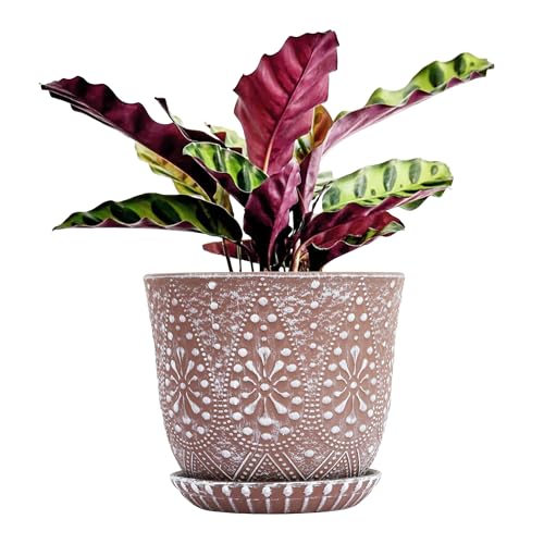 Gepege 8 Inch Plant Pot for Plants, Ceramic Planter with Drainage Holes and Saucers for Indoor Plants Large Flower Pot