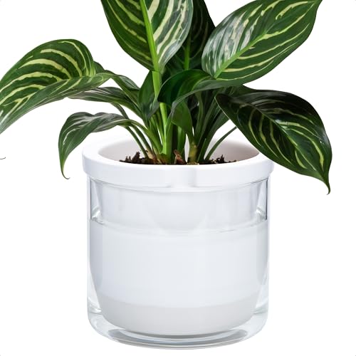 D'vine Dev 8 Inch Design Self Watering Planter for Indoor Plants, White Terracotta Pots with Cylinder Glass Cup, 37-X-C-2