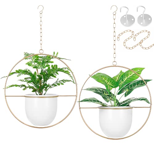Shineloha 2 Pack Hanging Planters (Budget)