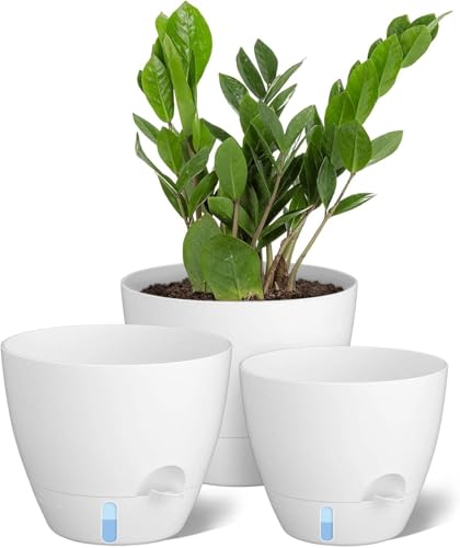 ZMTECH 3-Pack Self Watering (White)