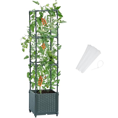 LINEX Raised Garden Bed Planter Box with Trellis, 41.3 Tomato Planters for Climbing Plants Vegetable Vine Flowers Outdoor Patio, Tomatoes Cage w/Self-Watering
