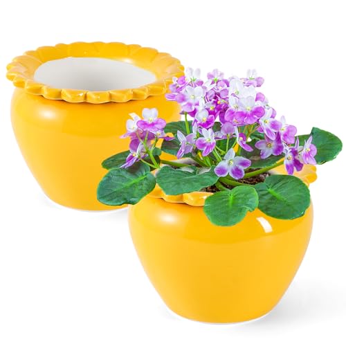 2pcs 6.5inch Design Self Watering Pot for Indoor Plants Yellow Indoor Plants Herbaceous Plants Flowers Terracotta Pots African Violet Pots Ceramic Orchid Planter Absorbent Inner Pot