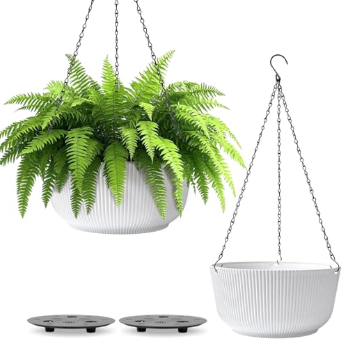 T4U 12 Inch Hanging Planters