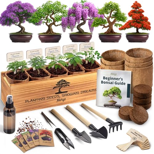 AVERGO Bonsai Tree Kit for Beginners  5X Unique Japanese Bonzai Trees, Complete Indoor Bonsai Starter Kit for Growing Bonsai Plants w/Tools & Planters  DIY Christmas Gardening Gifts for Women & Men