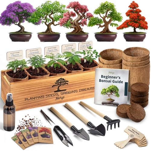 AVERGO Bonsai Tree Kit for Beginners