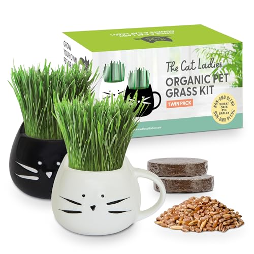 Cat Ladies Cat Grass Growing Kit