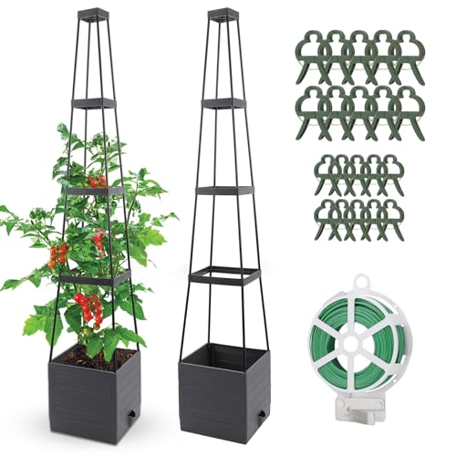 2 Pack Raised Garden Bed, Planter Boxes with Trellis 58.3'' Tomato Planters for Climbing Vine Vegetables Flowers Plants Self Watering Tomatoes Cage for Outdoor Patio Greenhouse