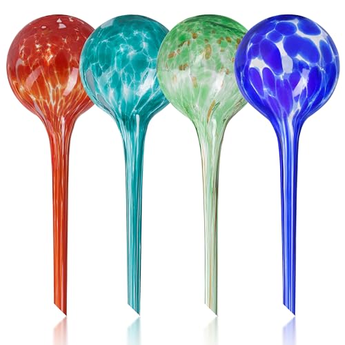 Plant Watering Globes Set of 4 - Large