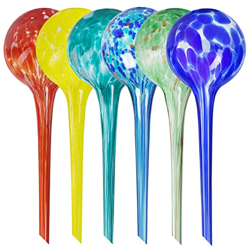 Plant Watering Globes Set of 6  Large Glass Bulbs