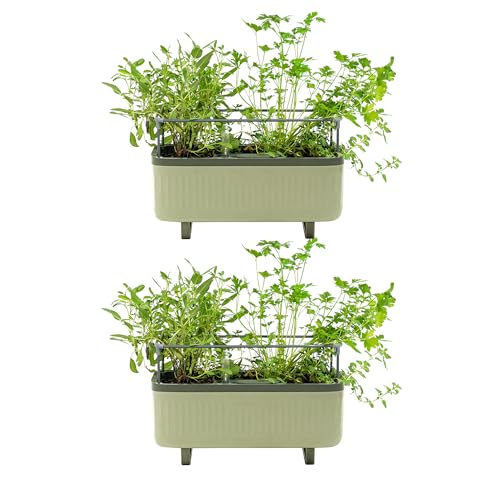 Vego Garden 2 Pack Herb Indoor Plant Box, Self Watering Planters Pots with Trellis for Kitchen Window Sill or Countertop Plants Cage - Sage Green