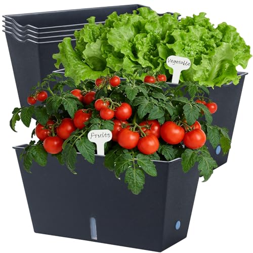 Window Box Planter 6 Pcs, 12.1 Inches Self Watering Plant Pots Rectangle Flower Pots with Drainage Holes and Breathable Trays, Vegetable Planters for Windowsill Patio Garden Balcony Porch Yard (Black)