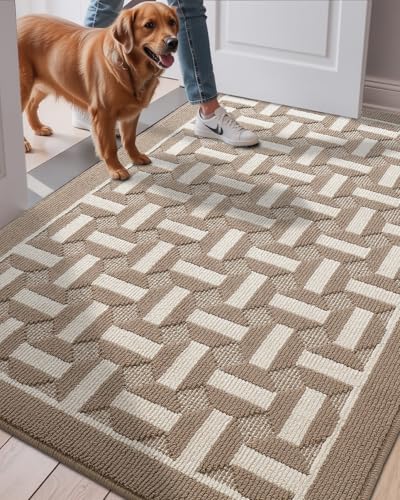 LUMI Washable Indoor Entrance Doormat (Taupe)