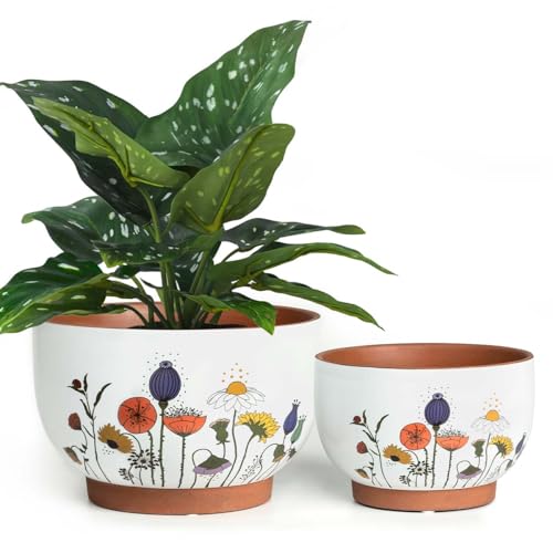 YBX 8 Inch & 6 Inch Terracotta Pots, Plant Pots Indoor, Flower Pots for Indoor Plants with Drainage, Planters with Floral Accent for Indoor Plants (French Country)