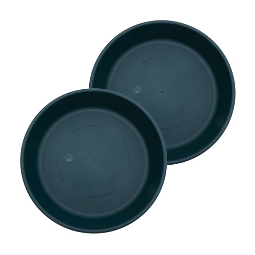 HC Companies 17.5-inch Evergreen