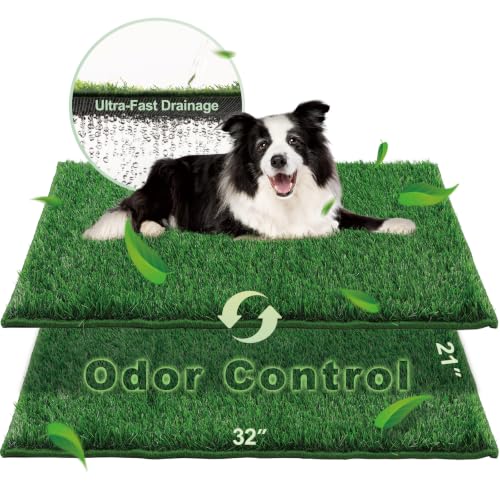 Prevent Artificial Grass Odors in Fall (2026)