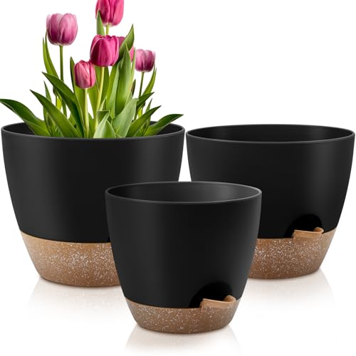 Plant Pots Set of 3 (QRRICA)