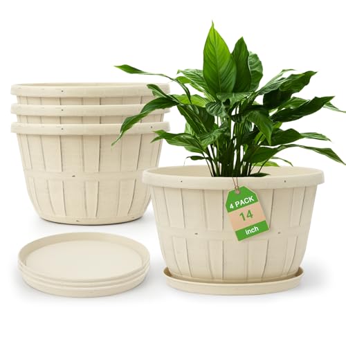 Best Planters for Spring Herb Gardens on Small Balconies (2026)