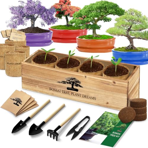 Endbug Bonsai Tree Kit
