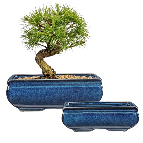 Set of 2 Blue Glazed Ceramic Bonsai Pots, 9.8" & 7.4" Rectangular Bonsai Pots Planters with Drainage for Indoor/Outdoor Plants, Shallow Bonzie Tree Pot for Succulents, Cacti, Orchids, Herbs, Flowers