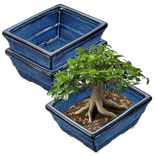 Villa Como Blue Glazed Bonsai Pots
