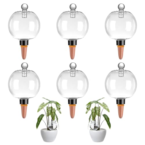 Ansberta 6 Pack 17oz Globes