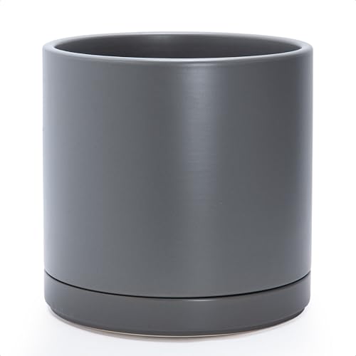 D'vine Dev 12" Ceramic Planter (Speckled Grey)