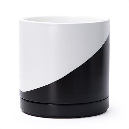 D'vine Dev 10" Monochrome