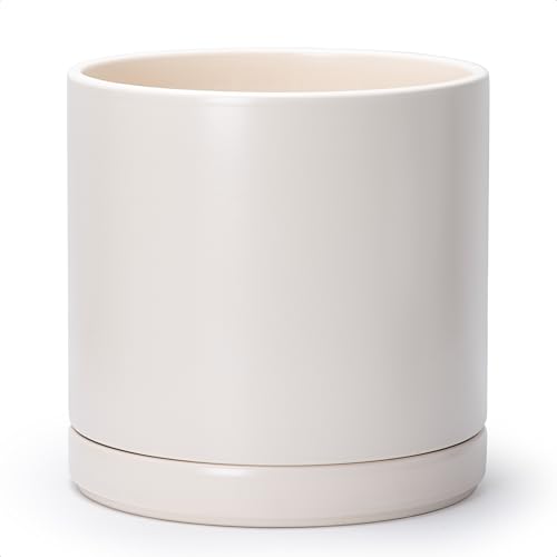 D'vine Dev 12 Inch Ceramic Planter Pot with Drainage Hole and Saucer, Indoor Cylinder Round Planter Pot, Oatmeal, 94-O-F-8