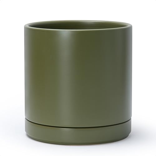 D'vine Dev 10" Olive