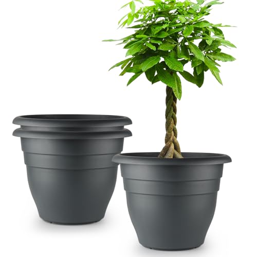 Large Plastic Pots for Plants, 16 Inch Planters for Outdoor Plants, Durable and Lightweight Flower Pots, Large Outdoor Planters(Pack of 3, Gray)