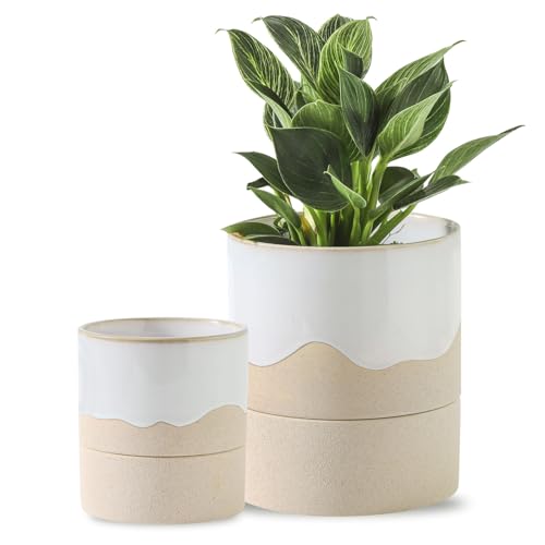 Nihow Ceramic Self-Watering Pot