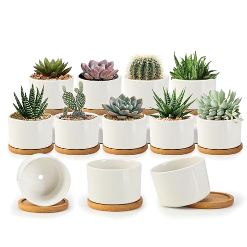 ZOUTOG Succulent Pots 12 Pack