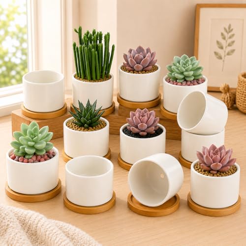 ZOUTOG 12-Pack Ceramic Succulent Pots