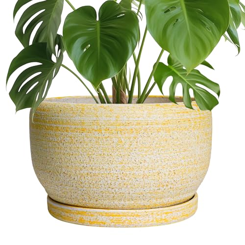 SQOWL Ceramic Planters for Indoor Plants - 10 Inch Plant Pot with Drainage Hole and Saucer, Round Ceramic Flower Pot Outdoor, Decorative Large Planter, Office Decor, Gifts for Women Men, Yellow