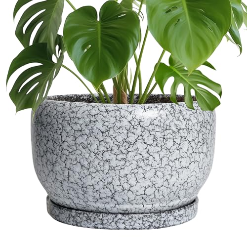 SQOWL Ceramic Planters - 10 Inch Ceramic Flower Pot with Drainage Hole and Saucer, Decorative Plant Pot Indoor, Round Large Planter Outdoor, Bathroom Decor, Gifts for Plant Lovers, Black and White