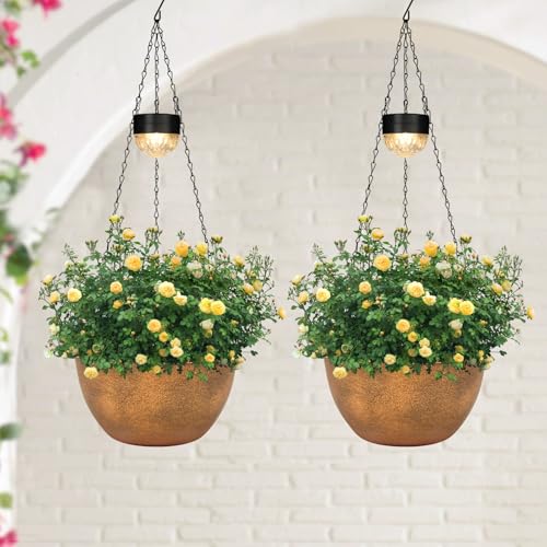 SUNNYPARK Bronze Hanging Planters (2-Pack)