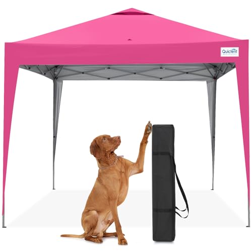 Quictent 10'x10' Pop Up Canopy Tent (Budget)
