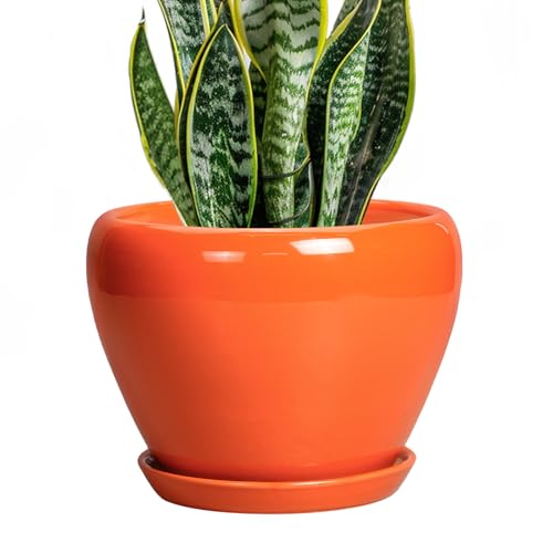 Ceramicfor Indoor Plant Pot