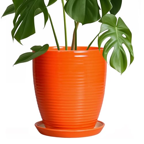 Ceramic Pots for Plants - 8 Inch Plant Pot with Drainage Hole and Saucer, Round Planter for Indoor Outdoor, Modern Flower Planters, Home Apartment Room Decor, Gardening Gifts, Orange
